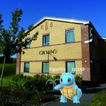 Pokémon