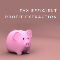 Profit Extraction